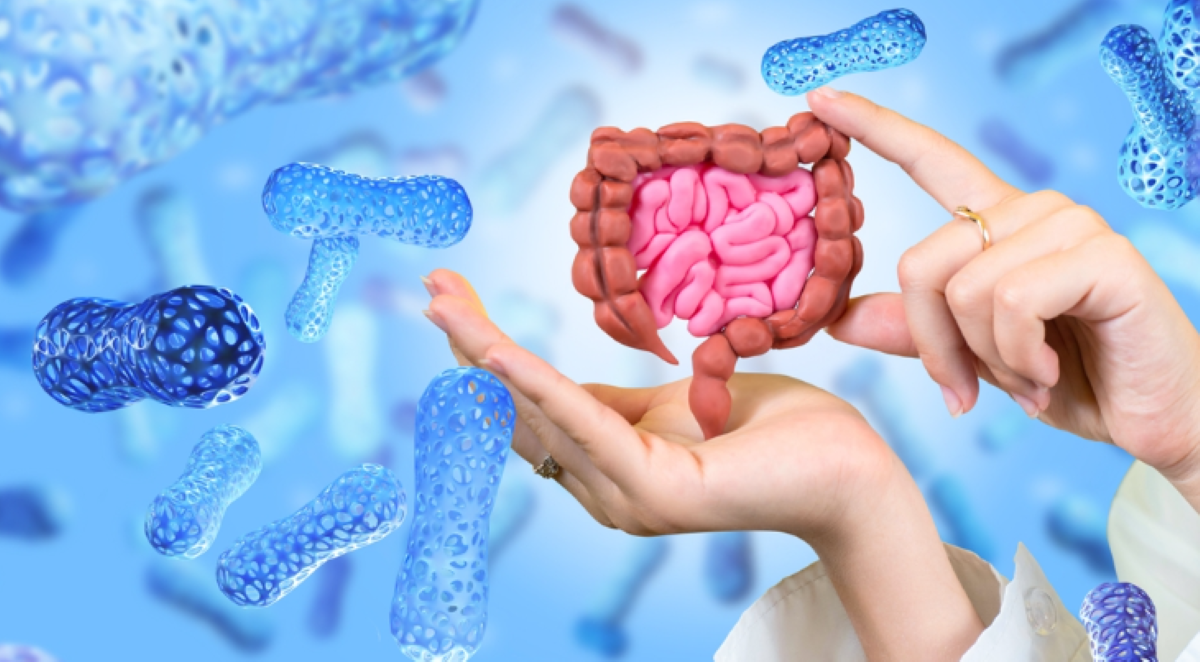 Lily & Loaf Review UK — Is It a Good Supplement Brand?